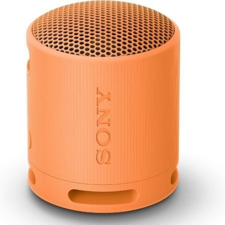 Sony XB100 | 2.0 | Laranja